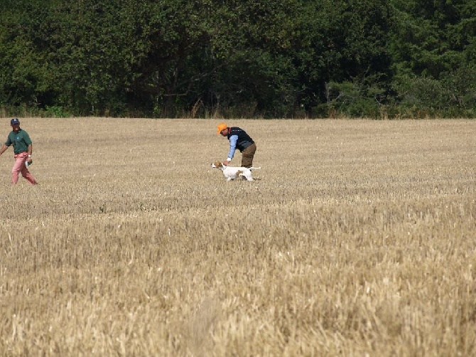 Des Plaines De Berloch - concours kermess a ploneour lanvern