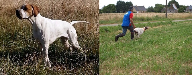 Des Plaines De Berloch - saillie Tr duke du moulin raguet x hippy des bueveurs d'air 