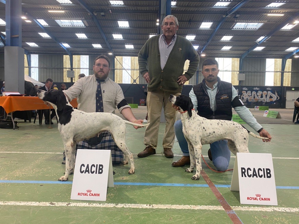 Des Plaines De Berloch - Exposition Internationale de Saint Brieuc 