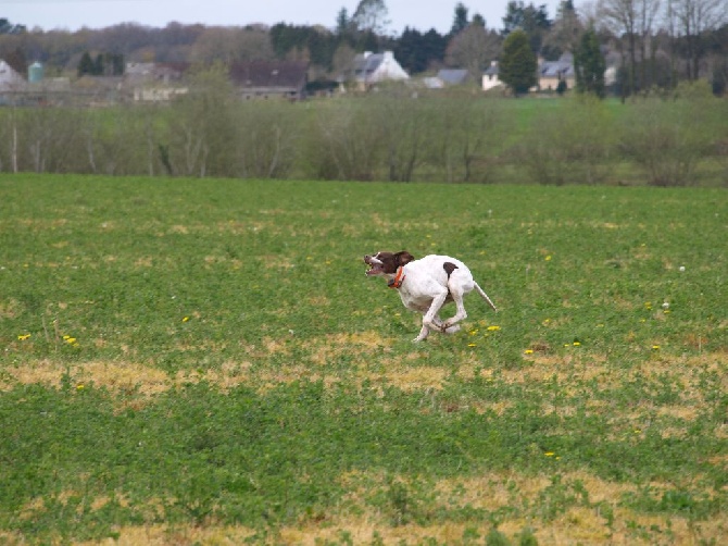 Des Plaines De Berloch - entrainement en plaine du 08/04/2016