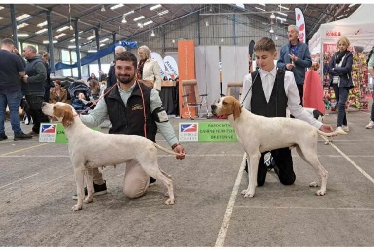 Des Plaines De Berloch - Exposition Internationale de Saint Brieuc 