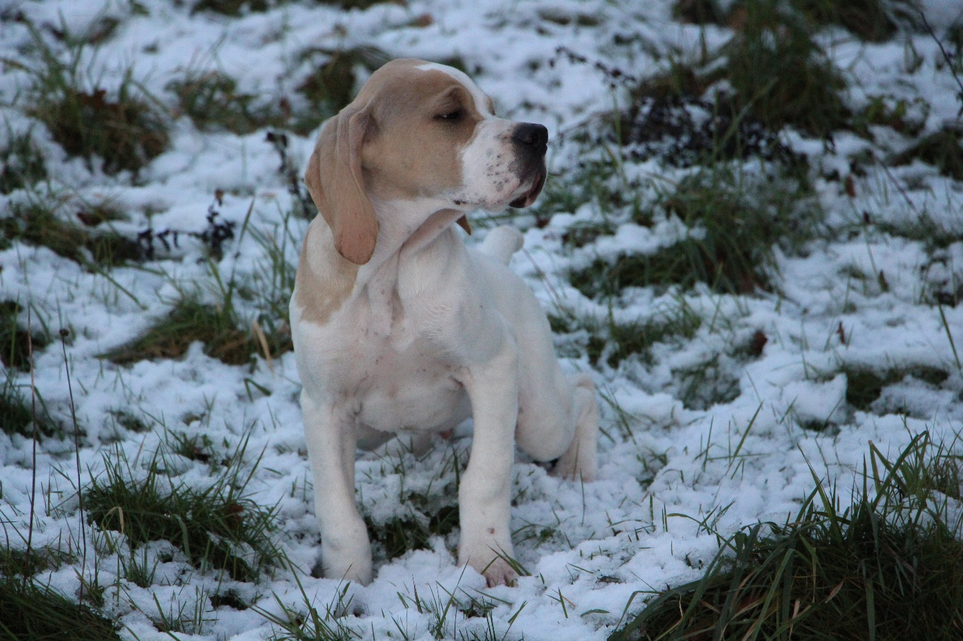 Très belle année 2026 à tous !