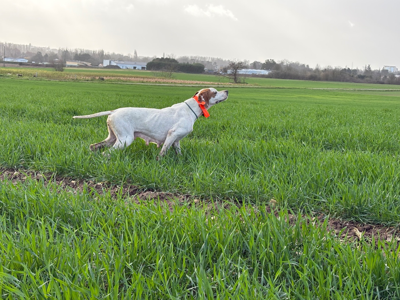L entraînement de printemps a démarré