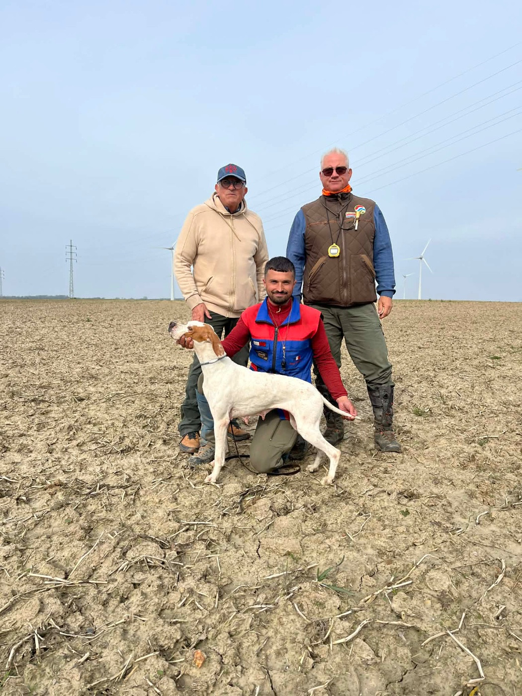 Tesla championne de printemps