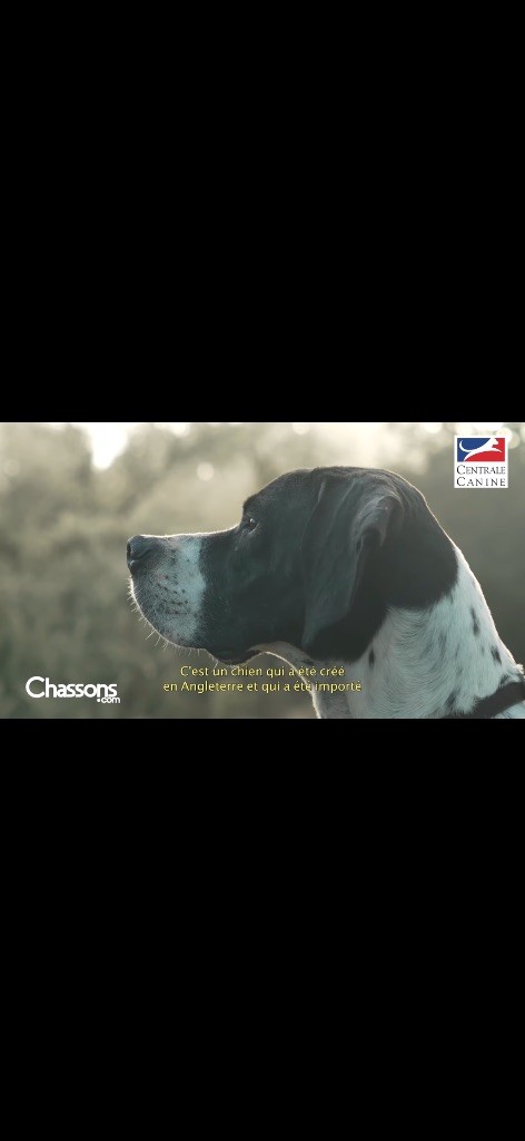 Des Plaines De Berloch - Tournage vidéo Scc pour les plaines de Berloch